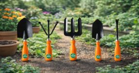 Garden tools in sunlight