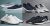 Enjoy Up to 85% Off Branded Shoes with Flipkart Footwear Deal India