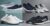 Enjoy Up to 85% Off Branded Shoes with Flipkart Footwear Deal India